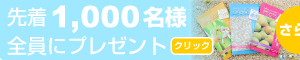先着1,000名様全員にプレゼント